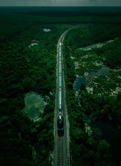Maya Train route through the jungle